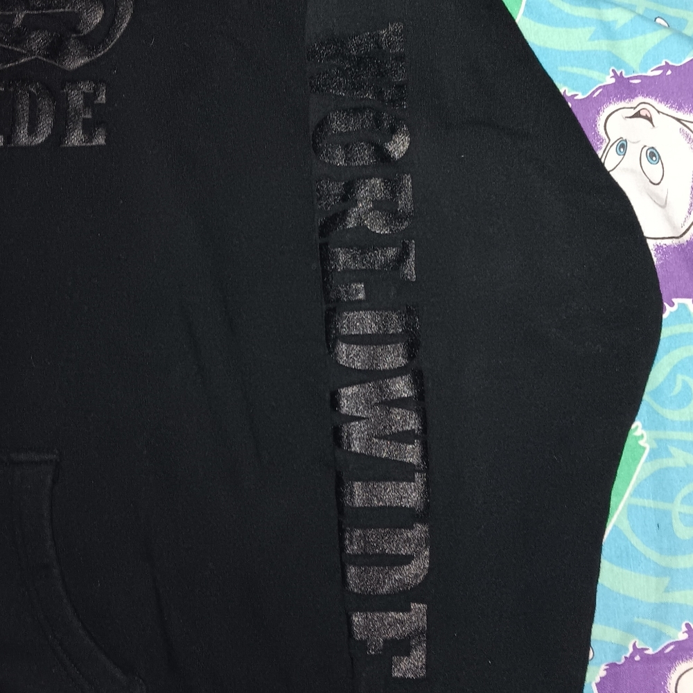 Black Label Society Hoodie Hooded Sweatshirt Doom Crew Inc Zakk Wylde - Picture 4 of 9